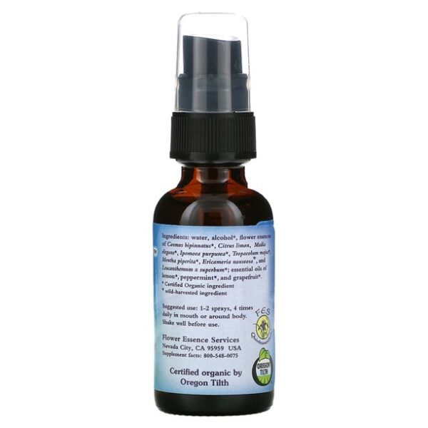 Mind-Full™ Spray 1oz - Image 2